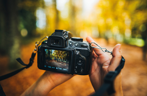Cameras for beginners – a photographer looking at his subject on the display. Cameras for beginners – a photographer looking at his subject on the display.