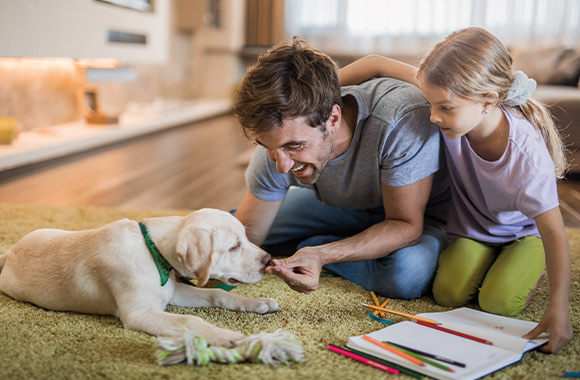 Bindung zum Hund aufbauen: Neue Hundebesitzer nähern sich behutsam ihrem Welpen. Bindung zum Hund aufbauen: Neue Hundebesitzer nähern sich behutsam ihrem Welpen.