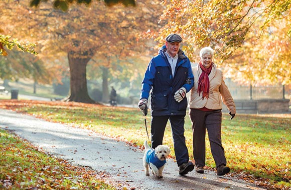 Ruhige Hunderassen für Senioren: Älteres Ehepaar geht mit seinem Hund spazieren.