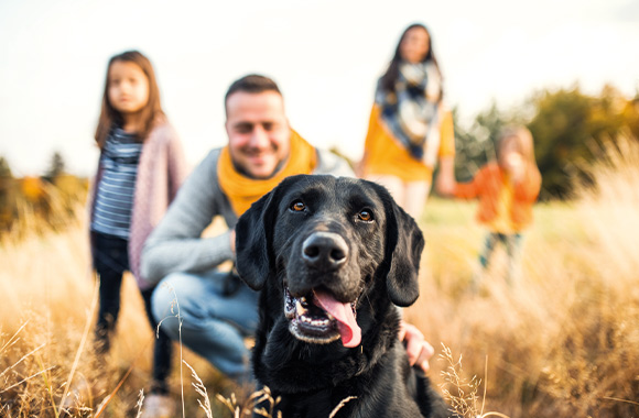 Sono pronto a prendere un cane? Famiglia in gita con il cane.