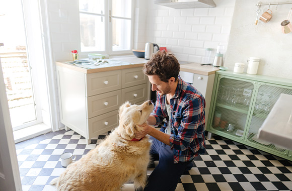 Hundehaltung in der Mietwohnung: Hund und Besitzer in der Küche. Hundehaltung in der Mietwohnung: Hund und Besitzer in der Küche.