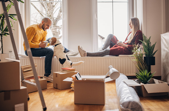 Een hond als huisdier: voorbereiding en administratie