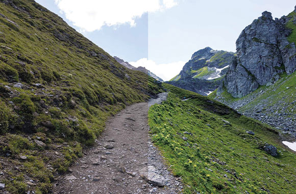 Photo editing - a photo with a high and low contrast. Photo editing - a photo with a high and low contrast.