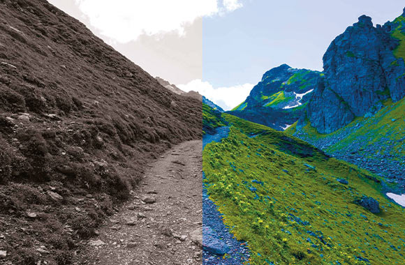 Photo editing - a photo with a lot and not a lot of saturation. Photo editing - a photo with a lot and not a lot of saturation.