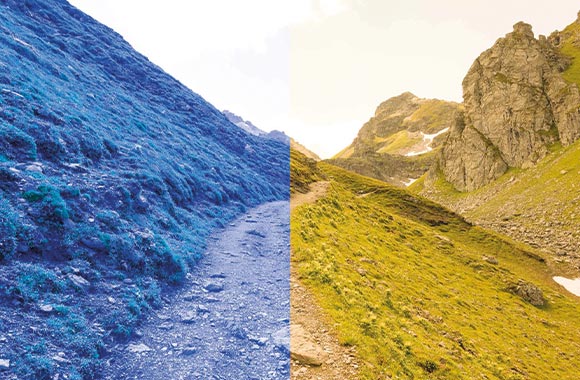 Photo editing - a photo with a different white balance. Photo editing - a photo with a different white balance.