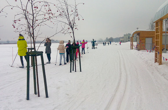 Krajobraz subalpejskiej tundry na Równi pod Śnieżką Krajobraz subalpejskiej tundry na Równi pod Śnieżką