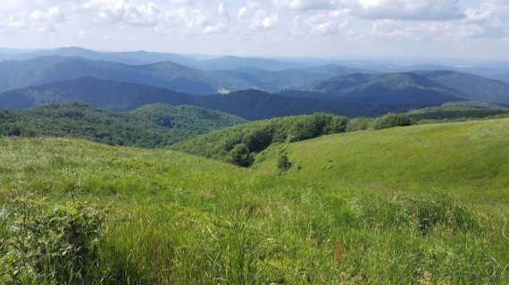 Ekoturysta w Bieszczadach, czyli ochrona przyrody górskiej