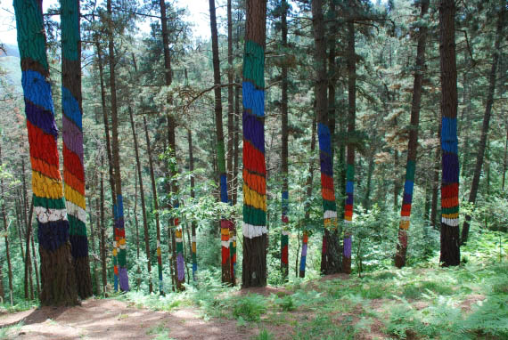 El Bosque de Oma