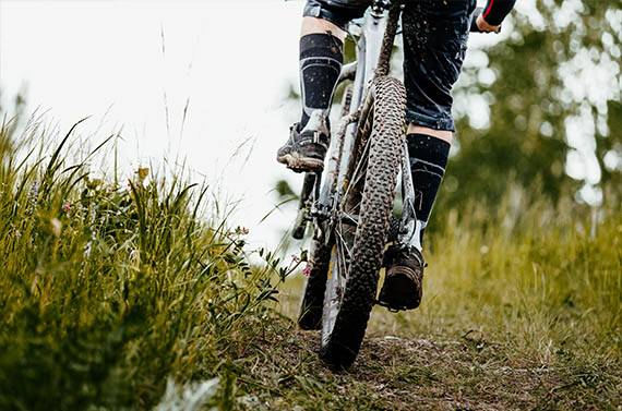 Mountainbiken in de Ardennen. Mountainbiken in de Ardennen. @istock.com/sportpoint