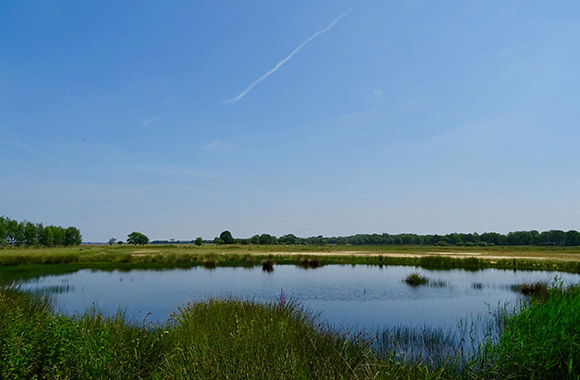 Een ven bij Dwingelderveld Een ven bij Dwingelderveld