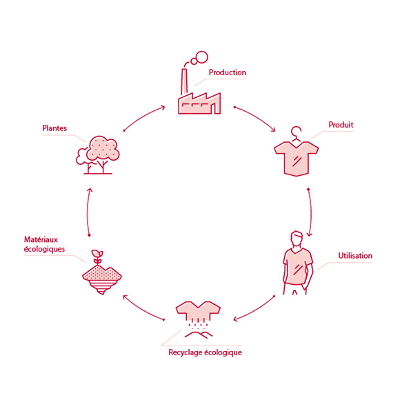 Le cycle biologique : cradle to cradle Le cycle biologique : cradle to cradle