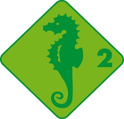 GLT 2 Schwimmabzeichen Seepferd GLT 2 Schwimmabzeichen Seepferd