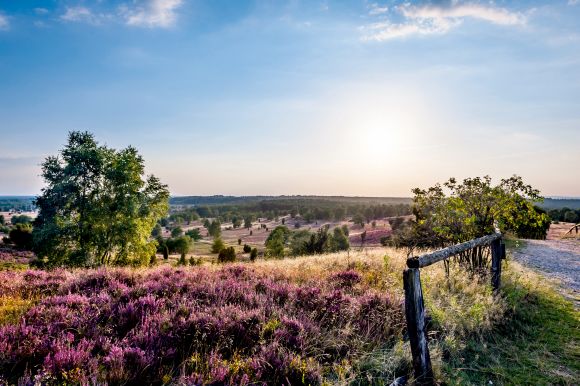 Radtouren Niedersachsen – Aussicht vom Wilseder Berg entlang des Leine-Heide-Radwegs Radtouren Niedersachsen – Aussicht vom Wilseder Berg entlang des Leine-Heide-Radwegs