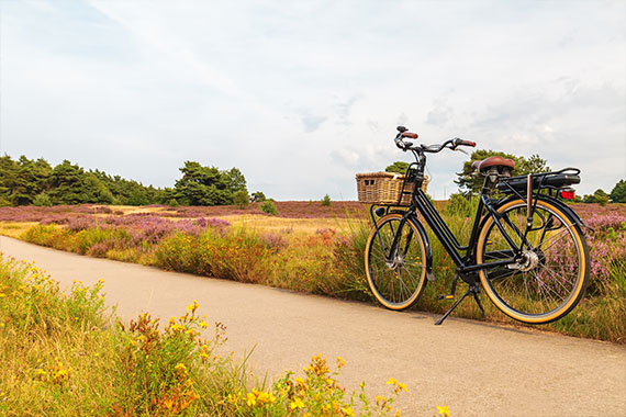 Fietsen op de Veluwe Fietsen op de Veluwe