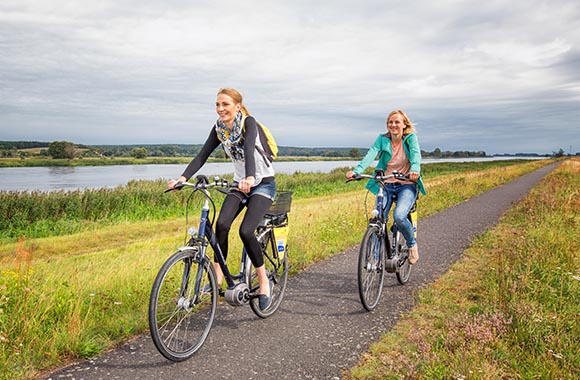 Radwege Brandenburg – Radfahren auf dem Oder-Neiße-Radweg am Oderbruch Radwege Brandenburg – Radfahren auf dem Oder-Neiße-Radweg am Oderbruch