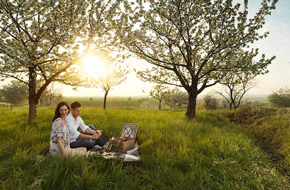 Am Kirschblüten-Radweg im Burgenland picknicken Am Kirschblüten-Radweg im Burgenland picknicken