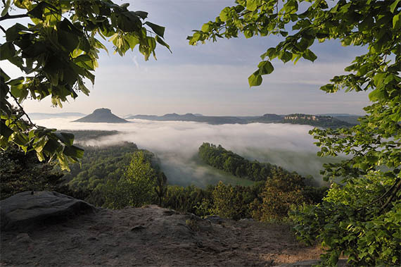 Blick auf den vom Nebel umhüllten Lilienstein Blick auf den vom Nebel umhüllten Lilienstein