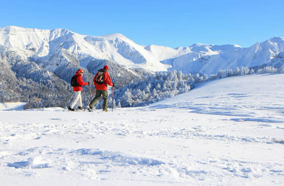 2 skieurs de fonds sur une piste du Massif de Sancy 2 skieurs de fonds sur une piste du Massif de Sancy