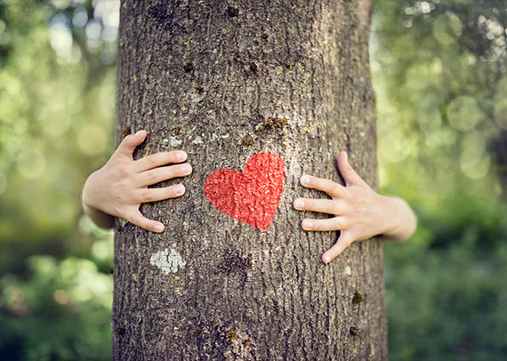 Ochrona przyrody – czerwone serce na drzewie