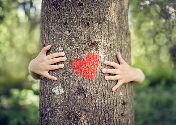 Rood hart op een boom