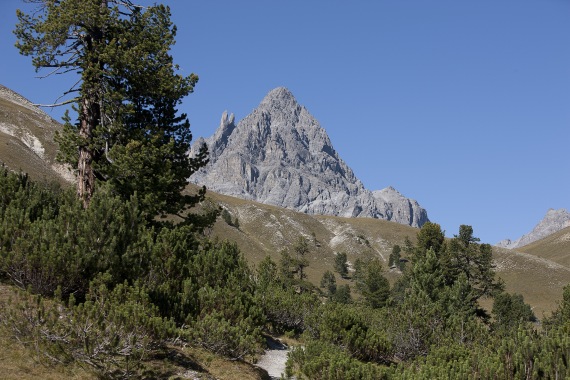 Aussicht im Val Mingèr auf den Piz Plavna Dadaint Aussicht im Val Mingèr auf den Piz Plavna Dadaint