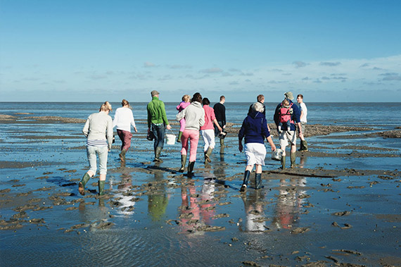 Wadlopen Wadlopen
