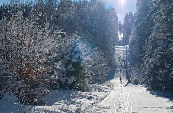 Wildalpen Lift im Wald Wildalpen Lift im Wald