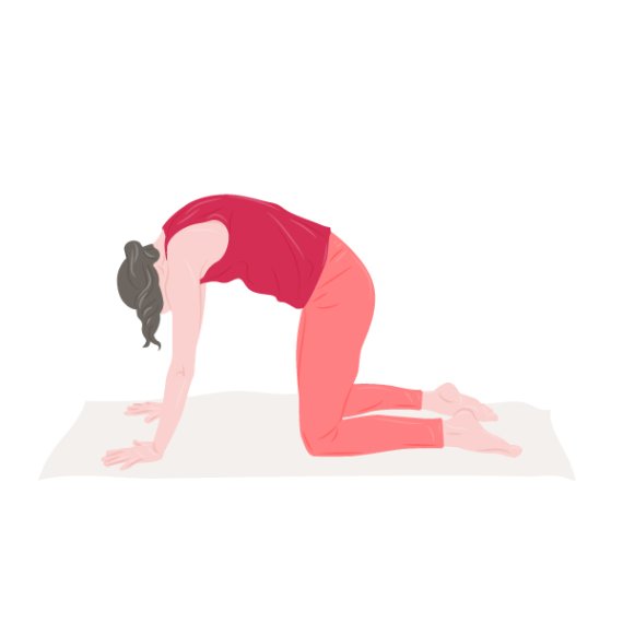Majariasana Majariasana Pose