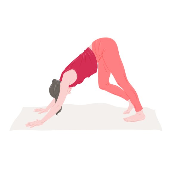 Adho Mukha Svanasana Adho Mukha Svanasana